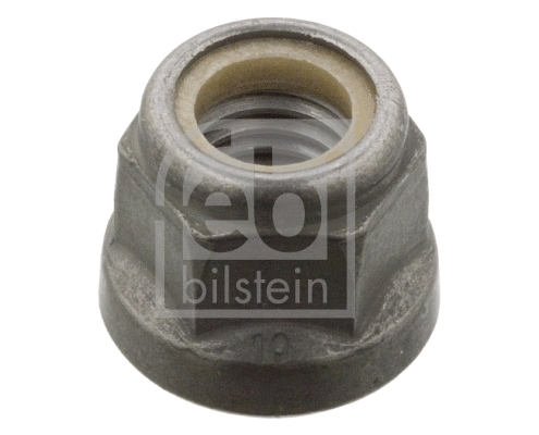 Nut (24522)