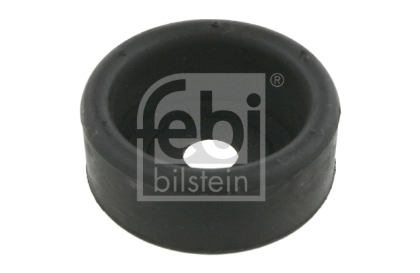 Bushing, axle beam (12244)