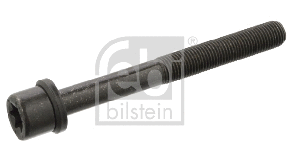Cylinder Head Bolt (06543)