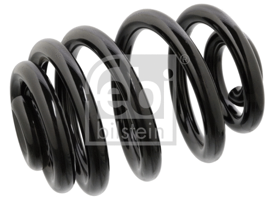 Suspension Spring (104702)