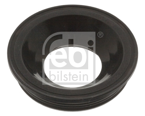 Seal, injector holder (101351)