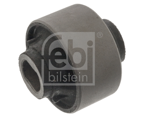 Mounting, control/trailing arm (100793)