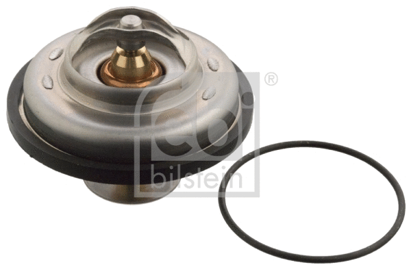 Thermostat, coolant (09324)