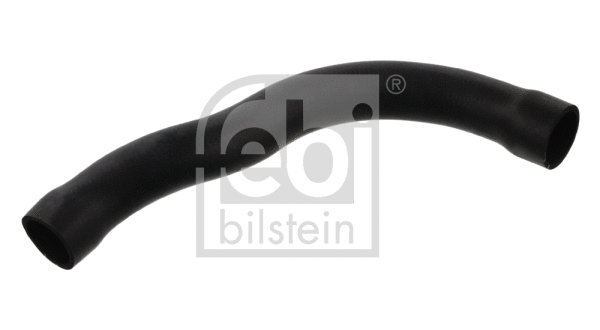 Radiator Hose (33875)