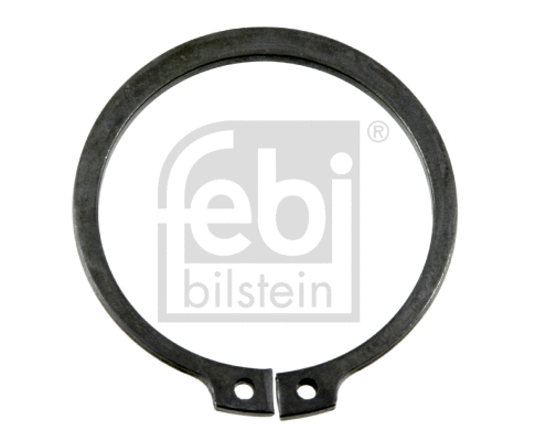 Circlip (18391)