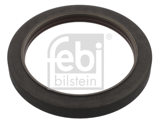 Shaft Seal, wheel bearing (18909)