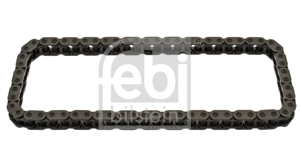 Timing Chain (39961)