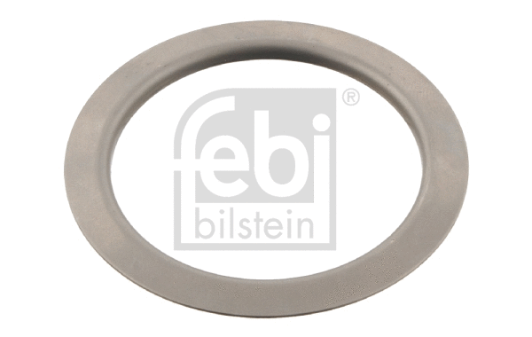 Cover Plate, dust-cover wheel bearing (29769)
