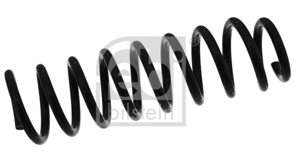 Suspension Spring (46901)