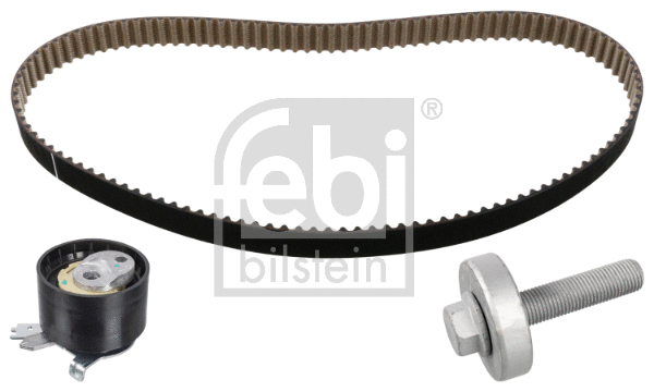 Timing Belt Kit (100520)