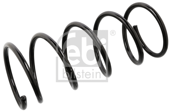 Suspension Spring (104698)