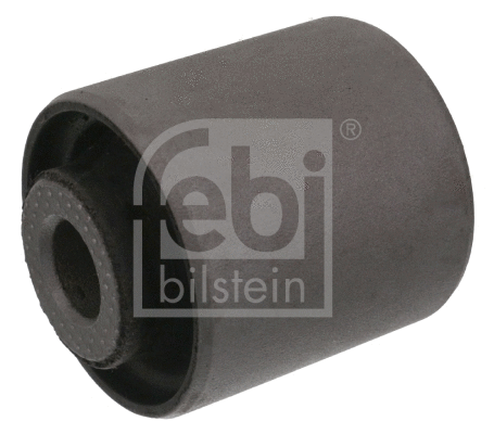 Mounting, control/trailing arm (102795)