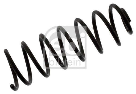 Suspension Spring (39816)