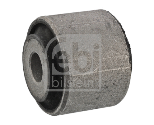 Mounting, control/trailing arm (34501)