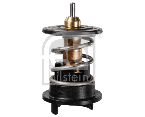 Thermostat, coolant (171912)