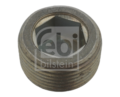 Screw Plug, oil sump (38179)