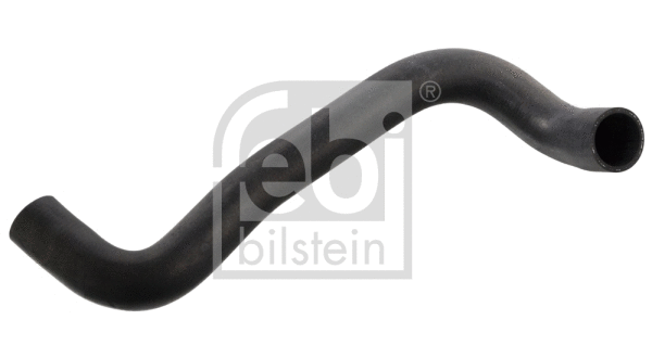 Radiator Hose (11666)