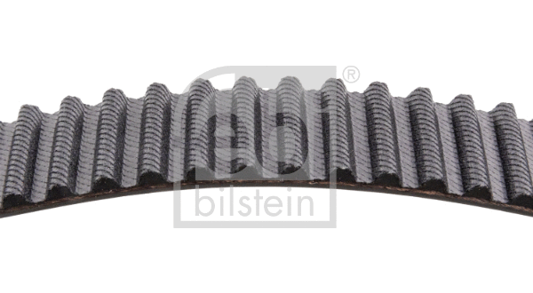 Timing Belt