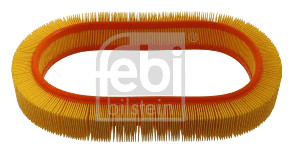 Air Filter (31443)