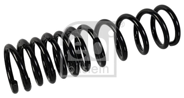 Suspension Spring (176275)