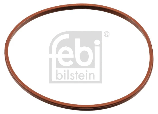 Gasket, throttle body (180016)