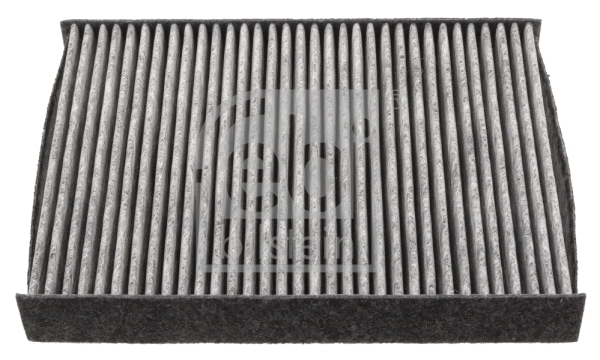 Filter, cabin air (48539)