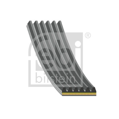 V-Ribbed Belt (183223)