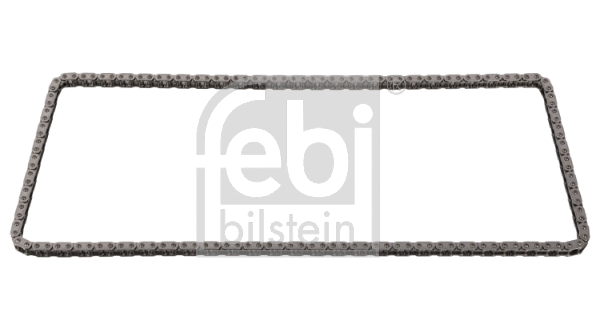 Timing Chain (28719)