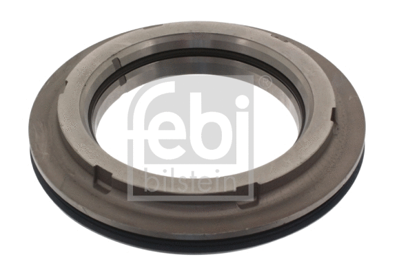 Ring, wheel hub (10459)