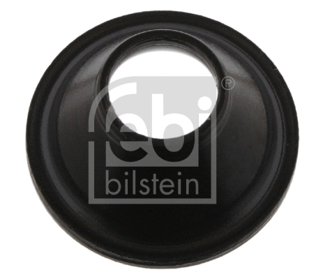 Sleeve, control arm mounting (27717)