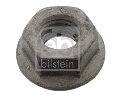 Nut (48859)