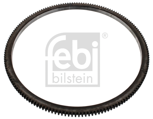 Ring Gear, flywheel (44305)