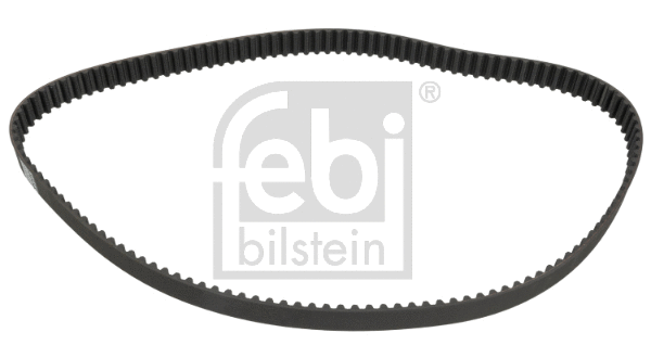Timing Belt (19536)