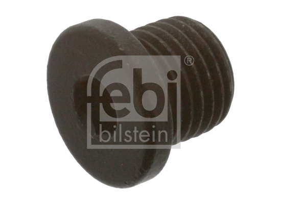 Screw Plug, oil sump (48874)