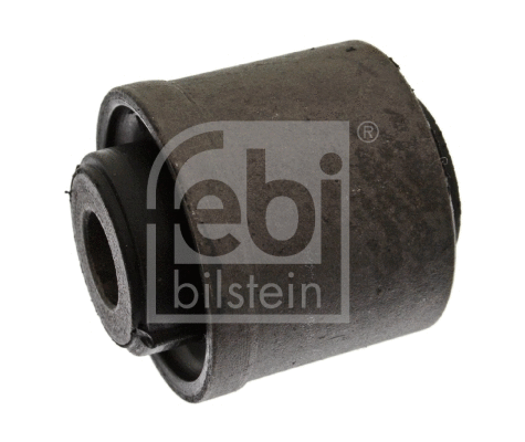 Mounting, control/trailing arm (10150)