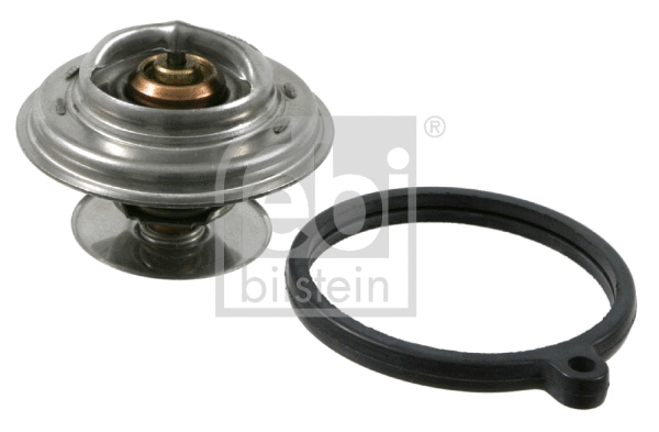 Thermostat, coolant (10262)