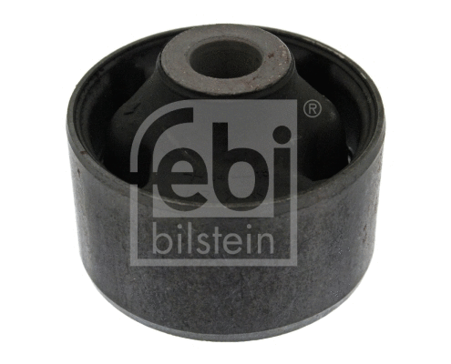 Mounting, control/trailing arm (41419)