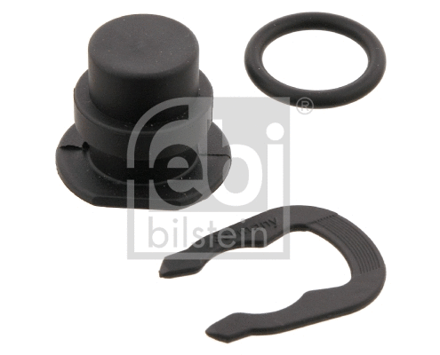Sealing Plug, coolant flange (12428)