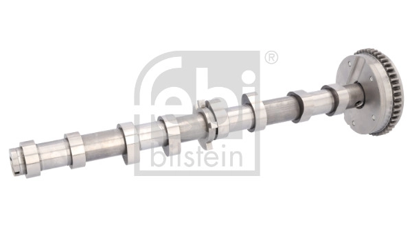 Camshaft (175291)