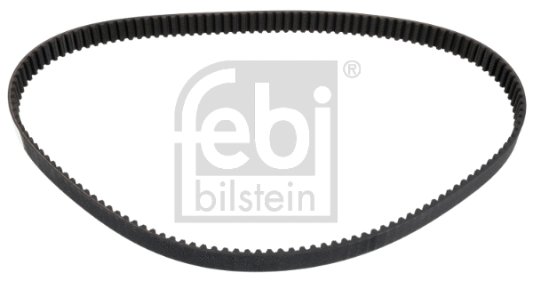 Timing Belt (19396)