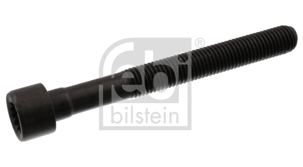 Cylinder Head Bolt (07978)