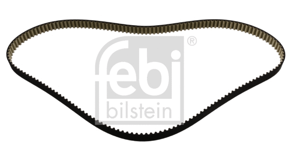 Timing Belt (34787)