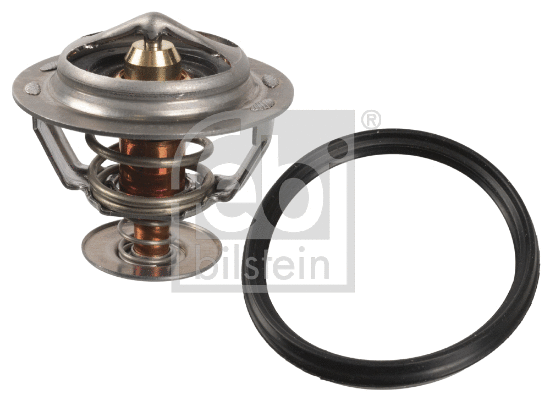 Thermostat, coolant (172714)