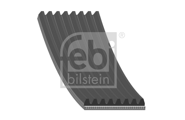 V-Ribbed Belt (174381)