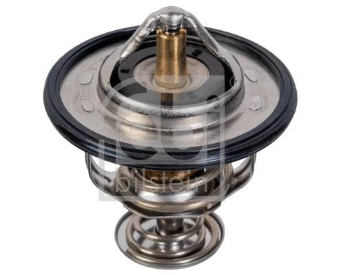 Thermostat, coolant (107701)