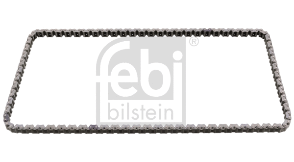 Timing Chain (100255)