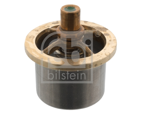Thermostat, coolant (46333)