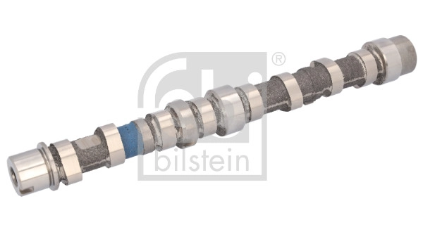 Camshaft (183800)