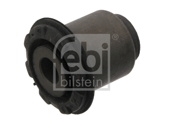 Mounting, control/trailing arm (31805)