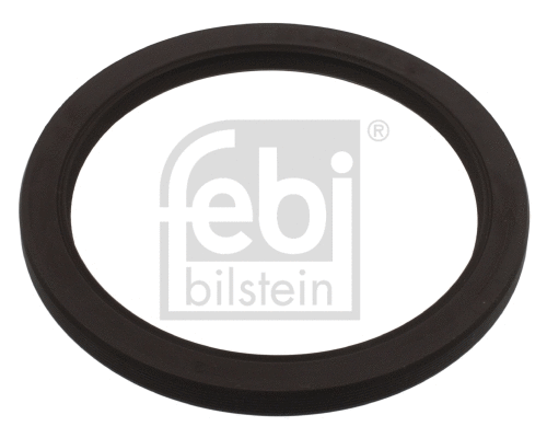 Shaft Seal, crankshaft (11808)